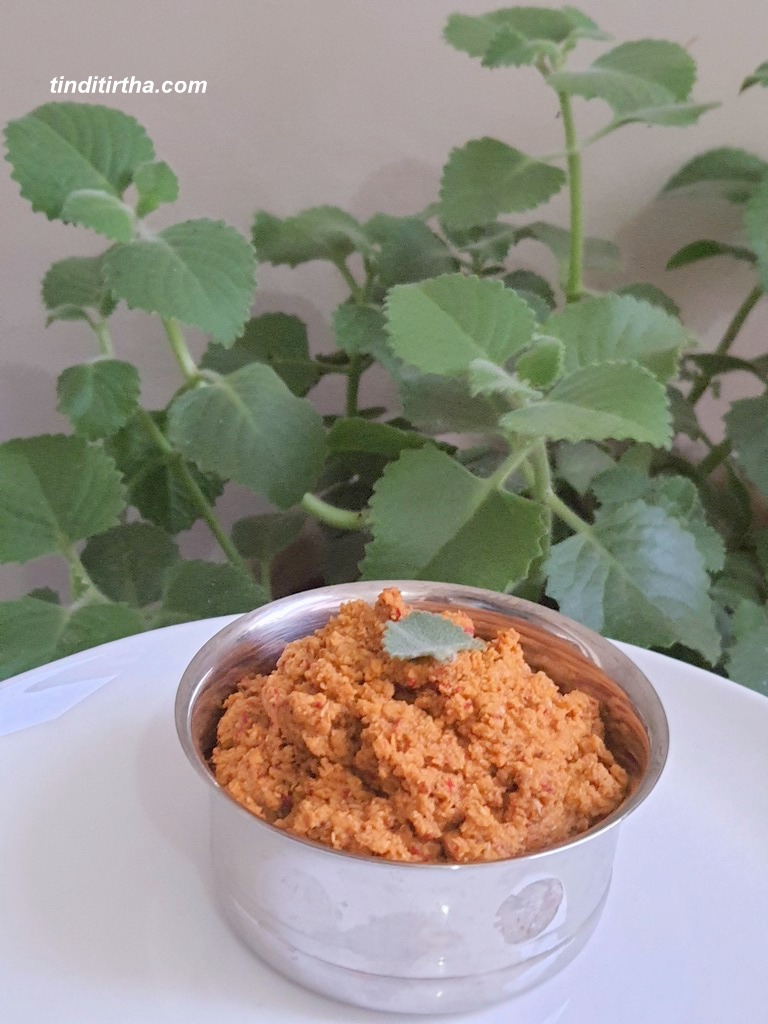 AJWAIN LEAVES/DODDAPATRE CHUTNEY type – 1 …aromatic leaves with medicinal value – VIDEO